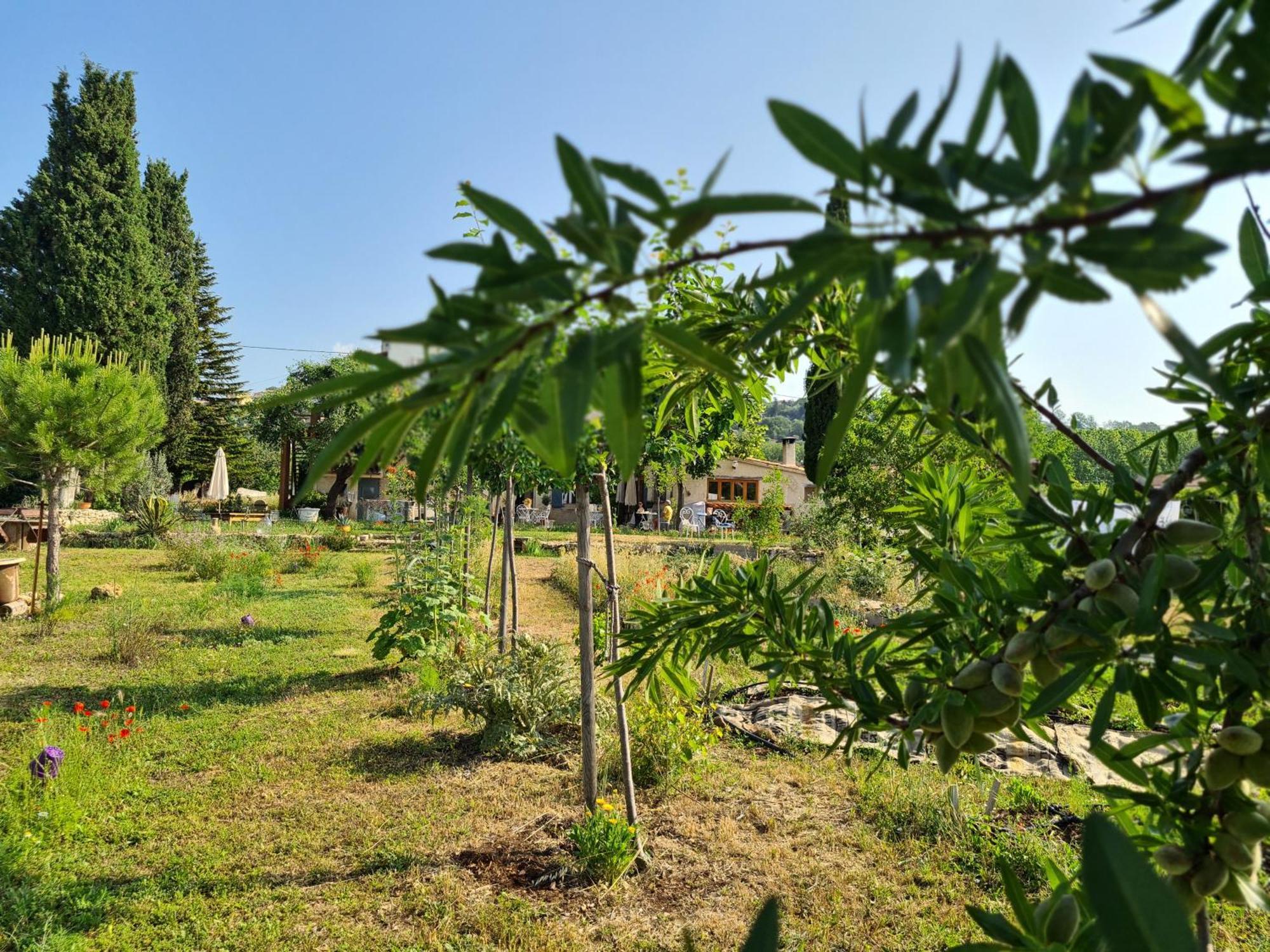 Villa La Ferme Constantin Fayence Exterior foto